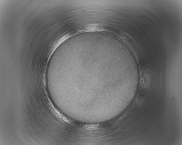 X0000085810810200703301523