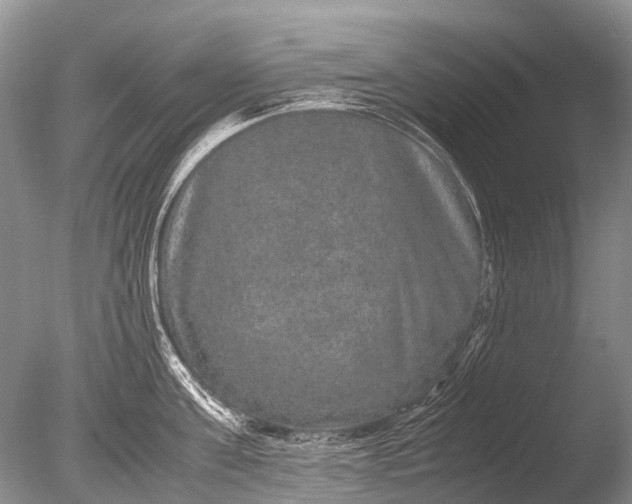 X0000085810811200703301523