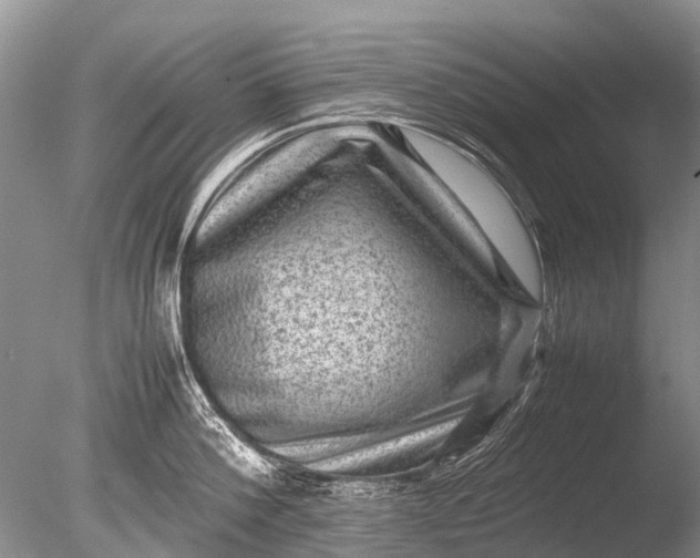 X0000085810812200703301523