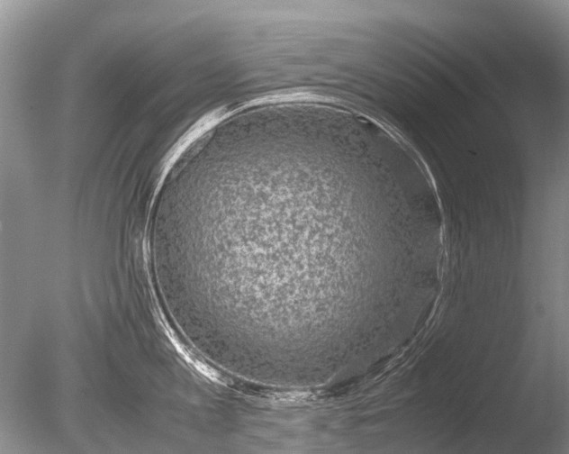 X0000085810813200703301523