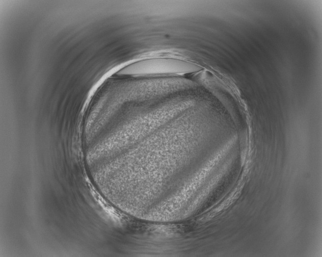 X0000085810816200703301523