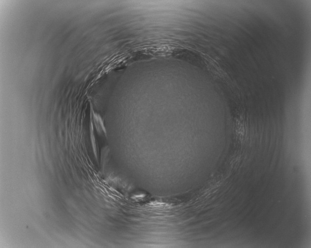 X0000085810818200703301522