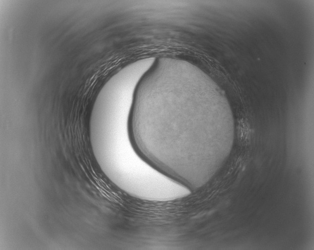 X0000085810820200703301523