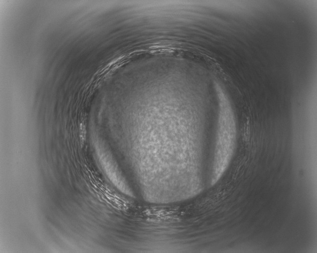 X0000085810821200703301523