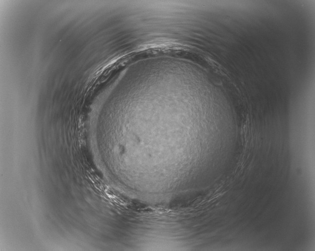 X0000085810822200703301523