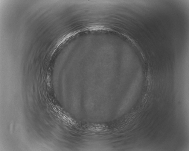 X0000085810823200703301523