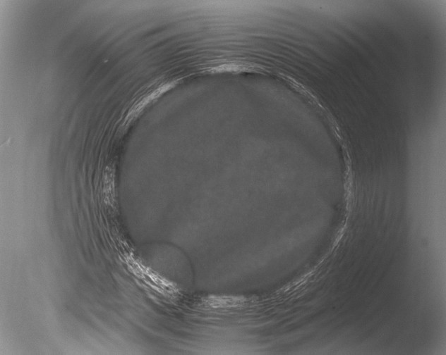 X0000085810825200703301523