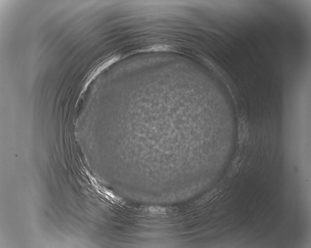 X0000085810827200703301523