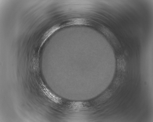 X0000085810828200703301523