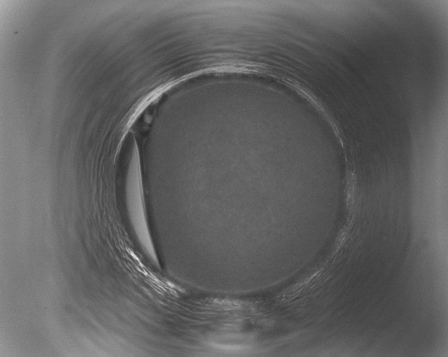 X0000085810829200703301523