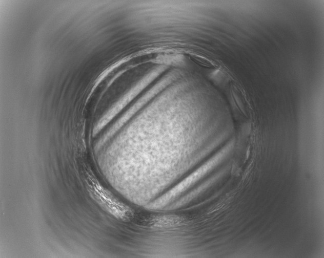 X0000085810830200703301523