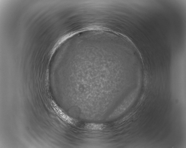 X0000085810831200703301523