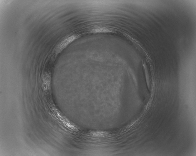 X0000085810833200703301523