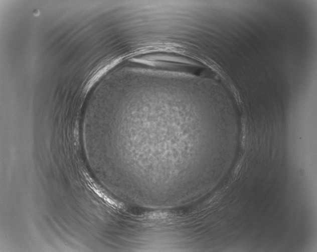 X0000085810834200703301523