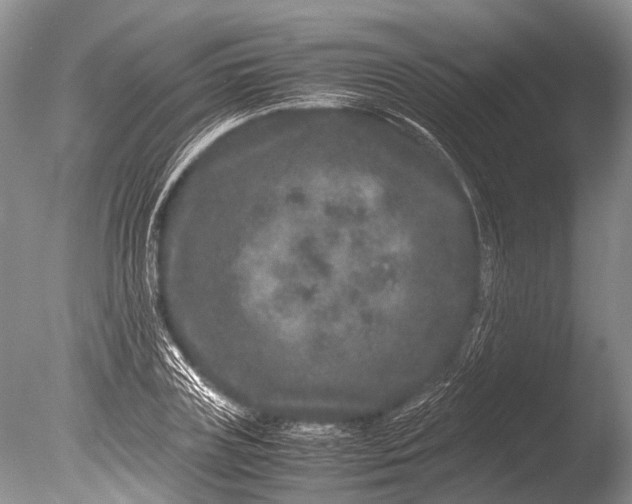 X0000085810835200703301523