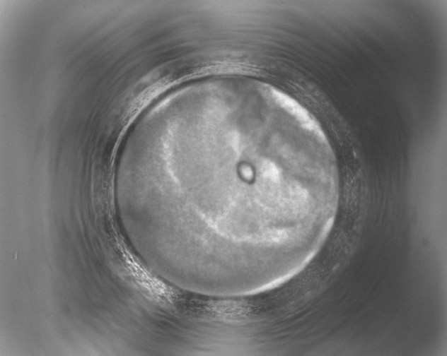 X0000085810836200703301523