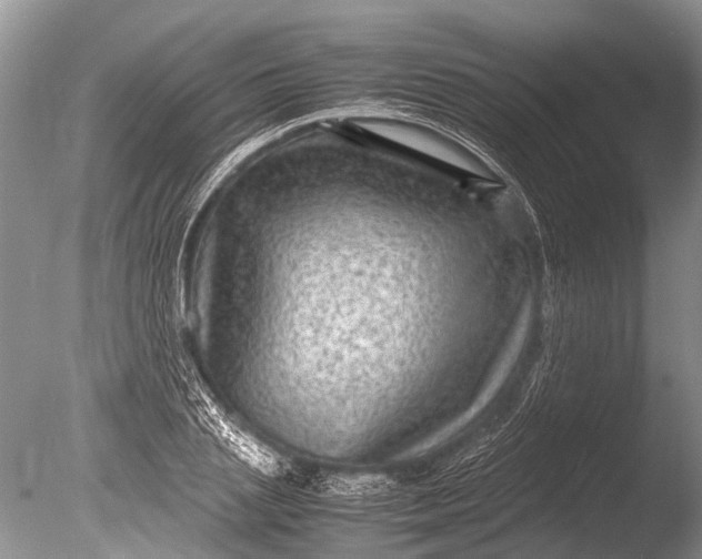 X0000085810837200703301523