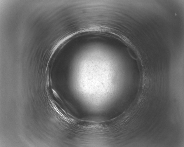 X0000085810838200703301523