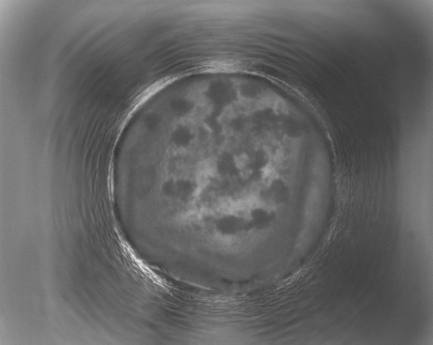 X0000085810839200703301523