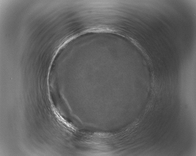 X0000085810840200703301523