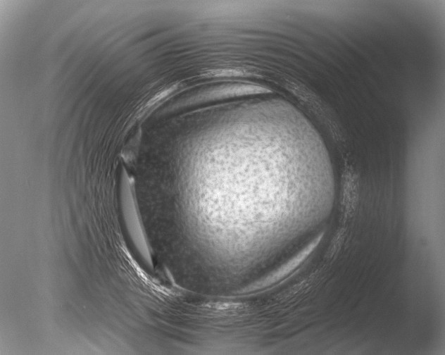 X0000085810841200703301523