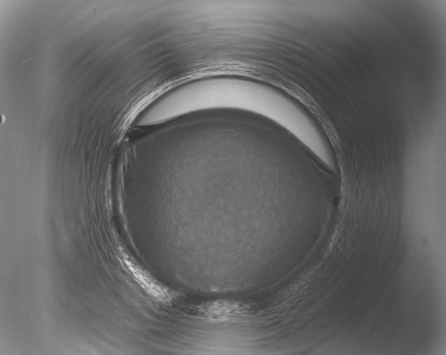 X0000085810842200703301523