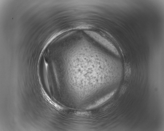 X0000085810843200703301523