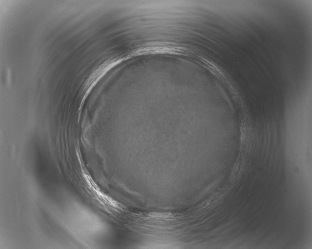 X0000085810844200703301523