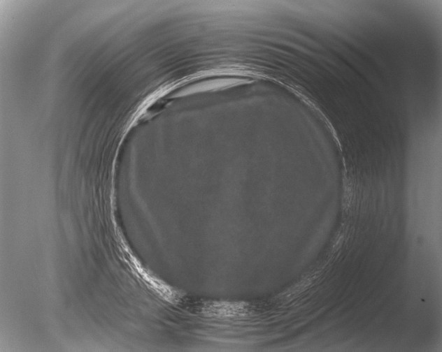 X0000085810845200703301523