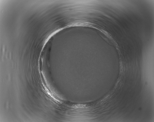 X0000085810846200703301523