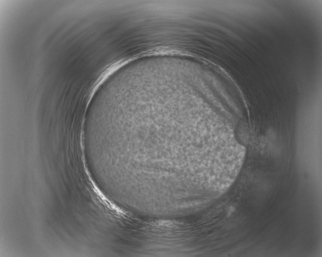 X0000085810847200703301523