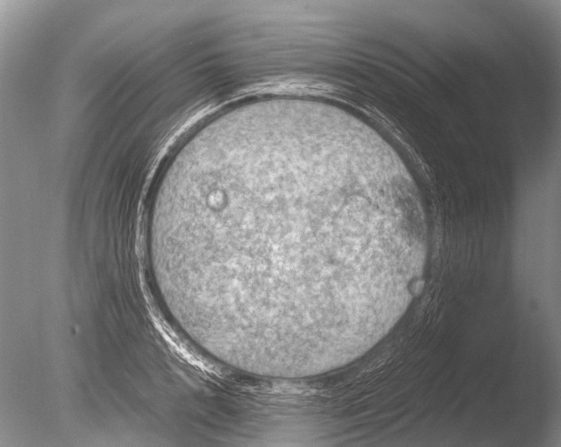 X0000085810848200703301523