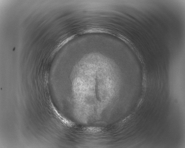 X0000085810849200703301523