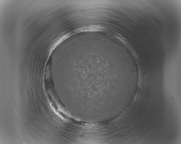 X0000085810850200703301523