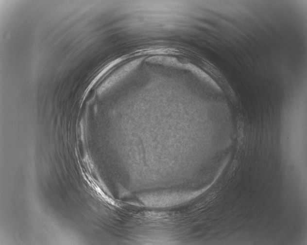 X0000085810852200703301523