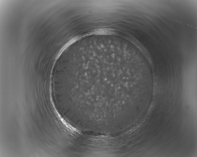 X0000085810853200703301523