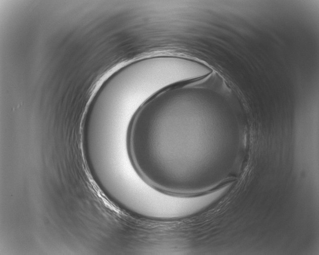 X0000085810854200703301523