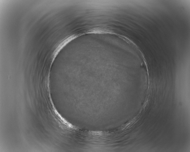 X0000085810855200703301523