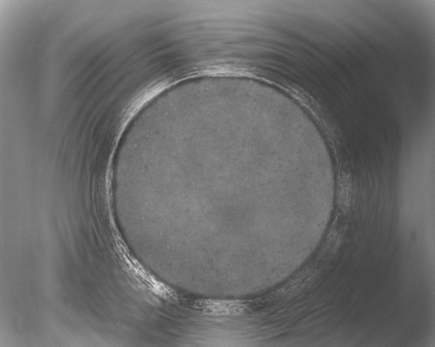 X0000085810856200703301523