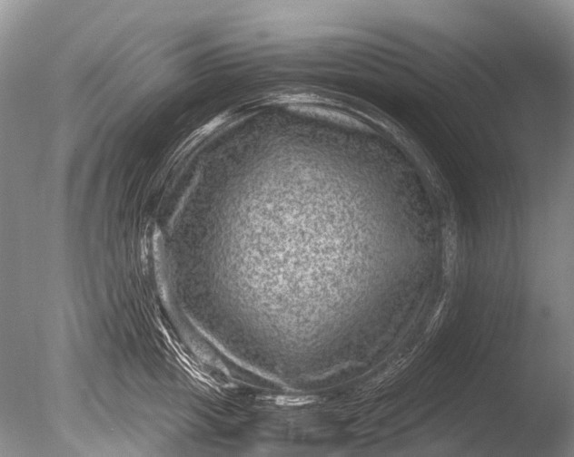 X0000085810857200703301523