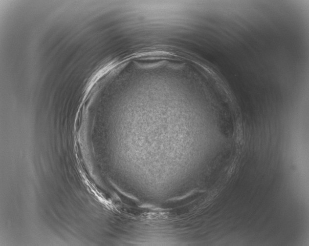 X0000085810858200703301523