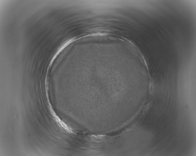 X0000085810859200703301523