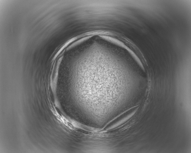 X0000085810860200703301523