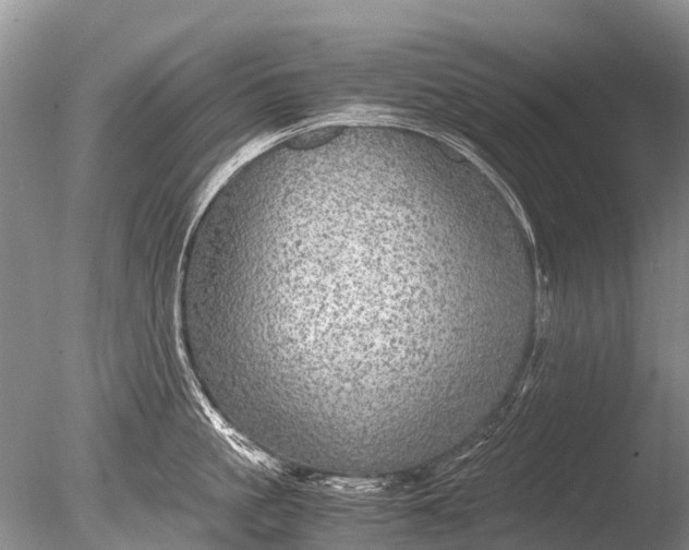 X0000085810861200703301523