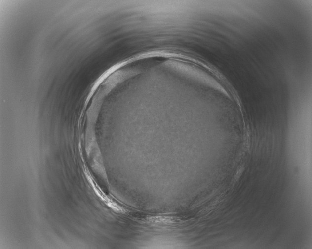 X0000085810862200703301523