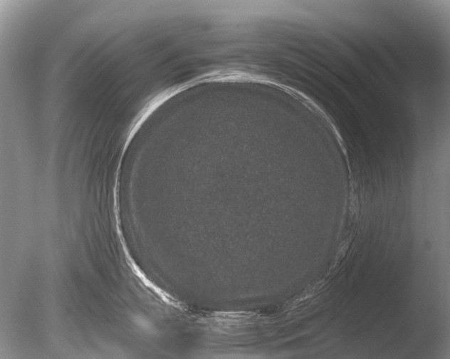 X0000085810863200703301523