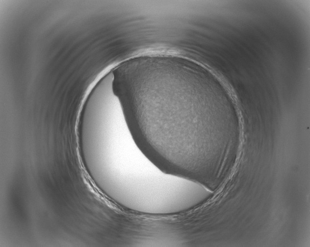 X0000085810864200703301523