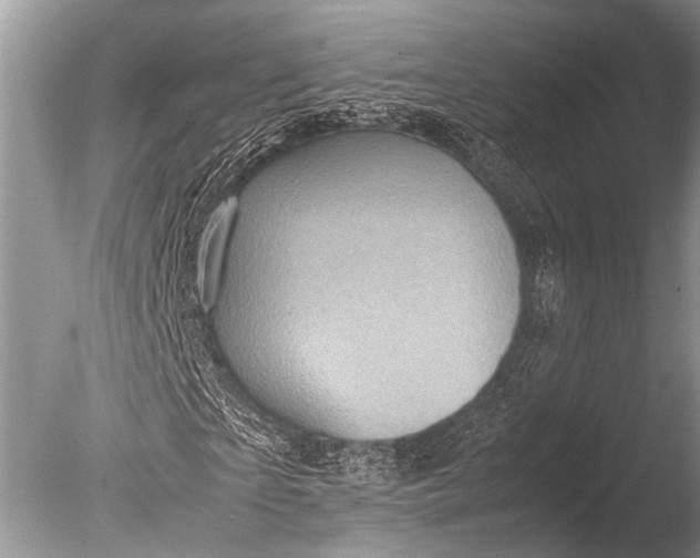 X0000085810865200703301522