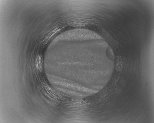 X0000085810866200703301522