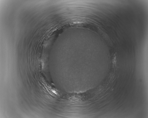 X0000085810868200703301522